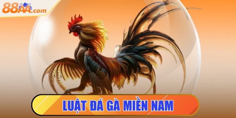 Luật Đá Gà Miền Nam - Những Điều Anh Em Sư Kê Cần Biết 5 luật đá gà miền nam
